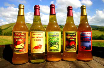 Welsh Mountain Cider Vintages