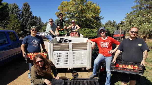 Branch Out Cider's Community Orchard Model